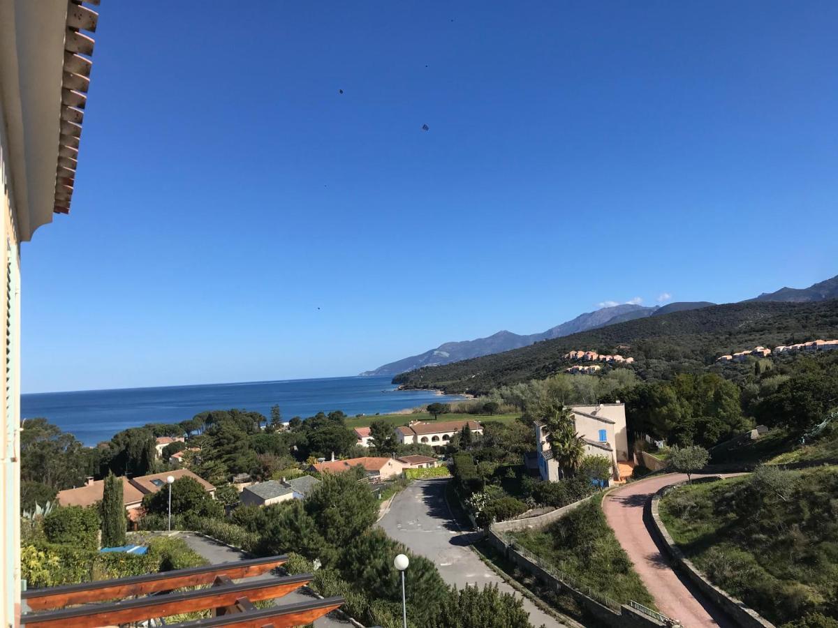 Joli T3 Familial Proche De La Mer Saint-Florent  Exteriér fotografie